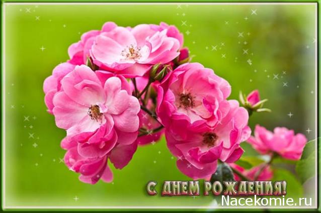 Дамы эпохи - Наши дни рождения