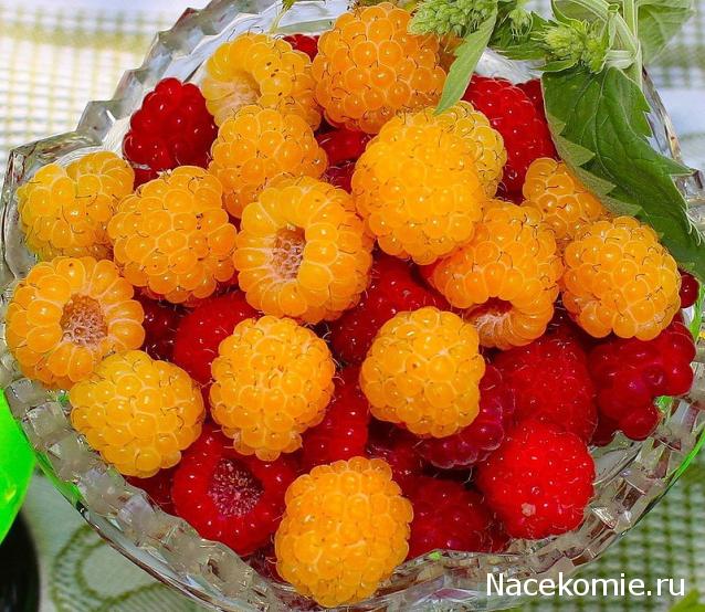 Куклы в Народных Костюмах – Игра "Обжинки-Собираем Урожай"