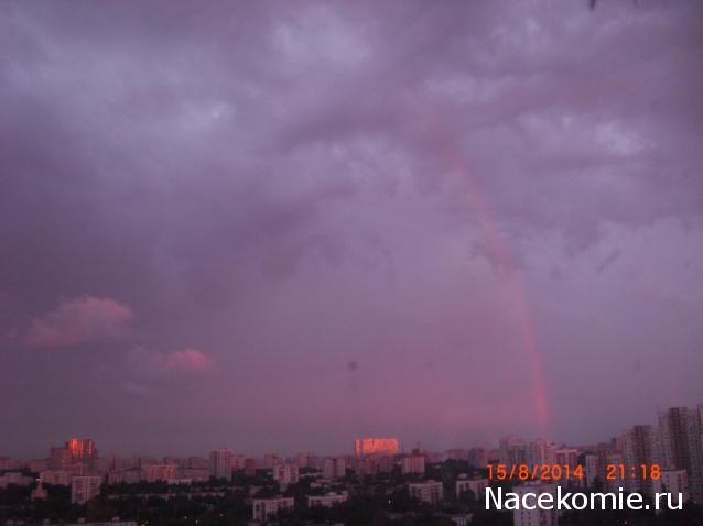 daffodil - Румбокс в бордовых тонах