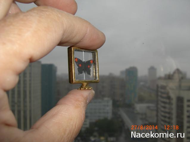 daffodil - Румбокс в бордовых тонах