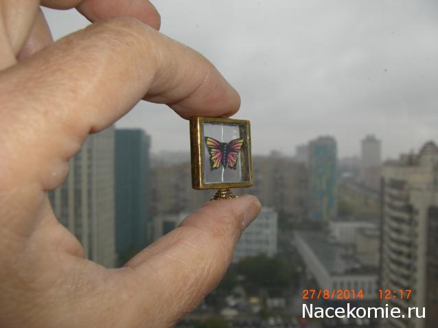 daffodil - Румбокс в бордовых тонах