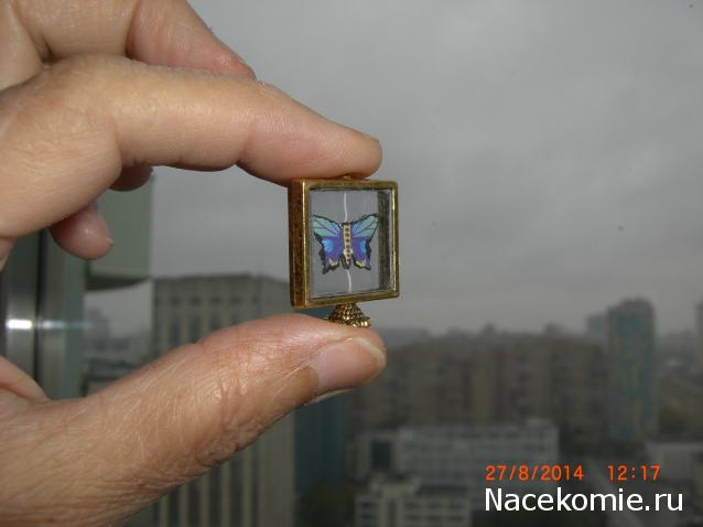 daffodil - Румбокс в бордовых тонах