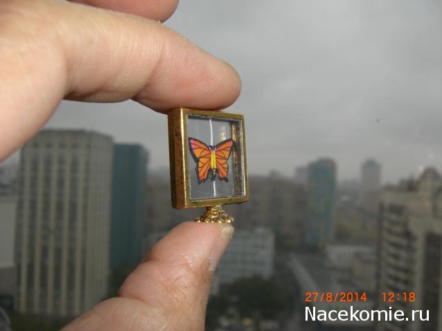 daffodil - Румбокс в бордовых тонах