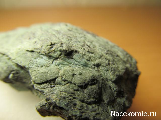 Минералы Сокровища Земли №48 - Серпентин