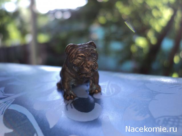 Paranoya - мой скромный домик