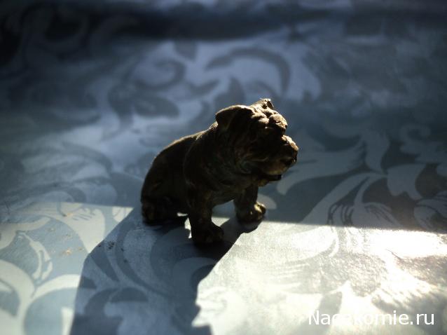 Paranoya - мой скромный домик