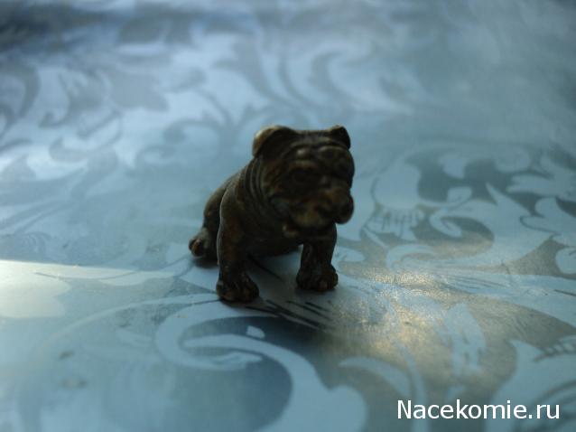 Paranoya - мой скромный домик