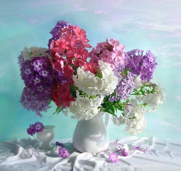 Наши Дни Рождения