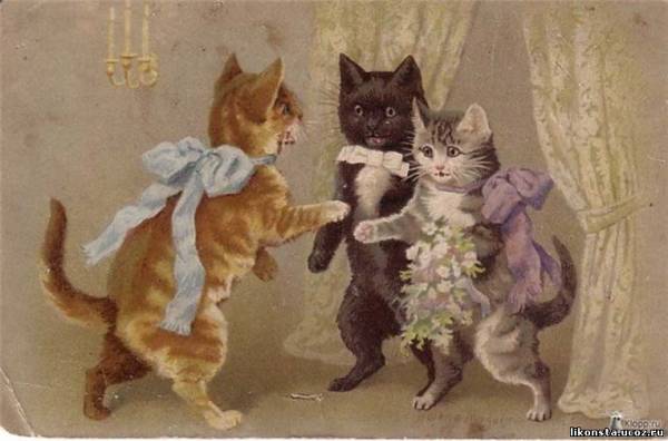 Moshule - Стройка века