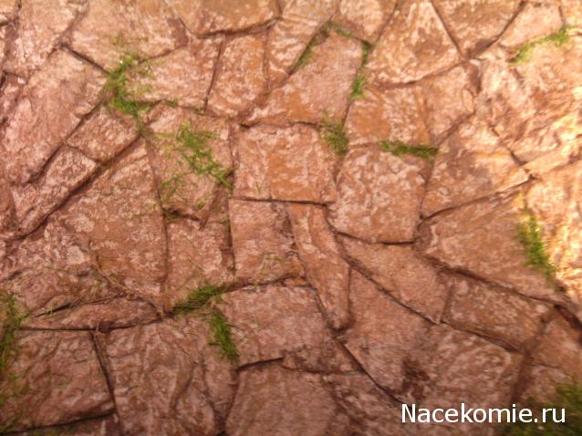 leonidovna - Ниша мечты