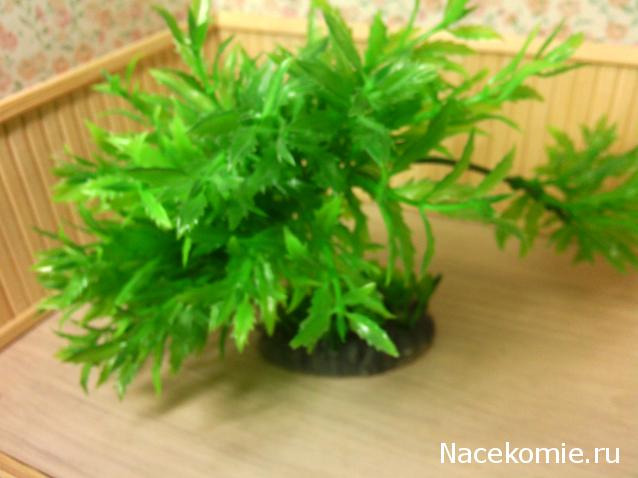 leonidovna - Ниша мечты