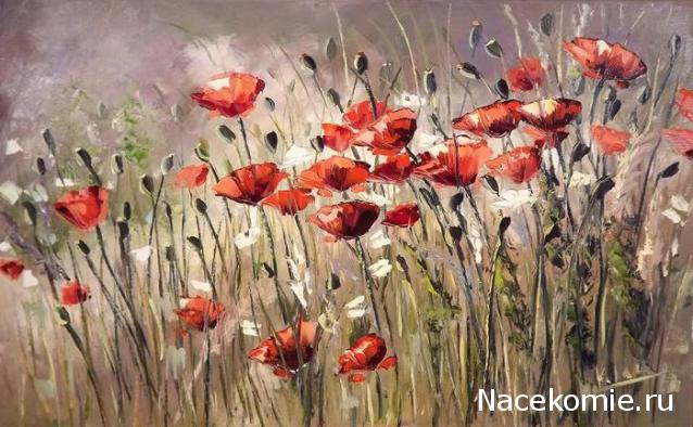 Наши Дни Рождения