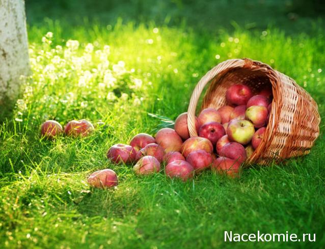 Куклы в народных костюмах – "Девчушки-болтушки"