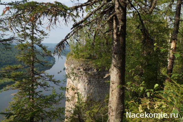 Наши Дни Рождения