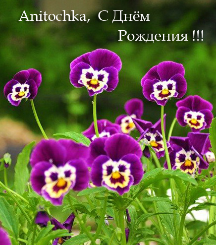 Наши Дни Рождения