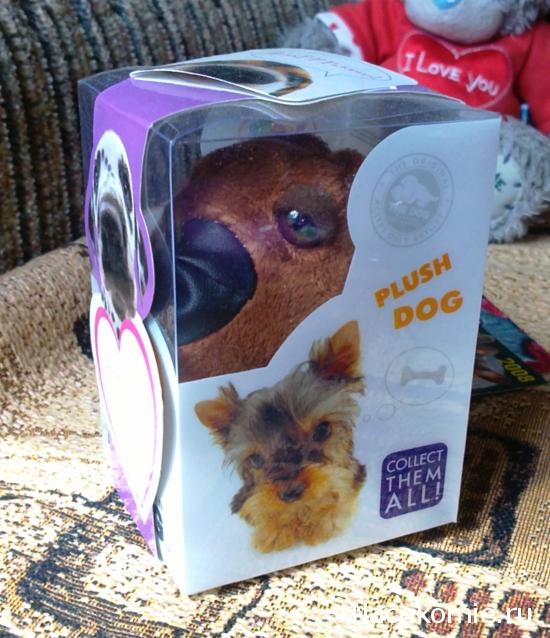 The Dog Collection Болталка