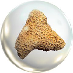 Чудеса Природы - График Выхода и обсуждение