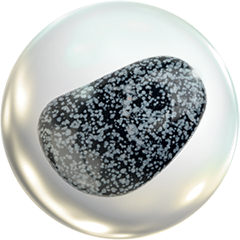 Чудеса Природы - График Выхода и обсуждение