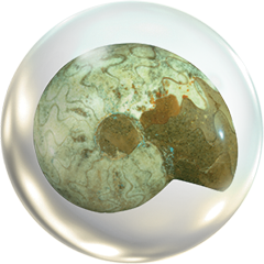 Чудеса Природы - График Выхода и обсуждение