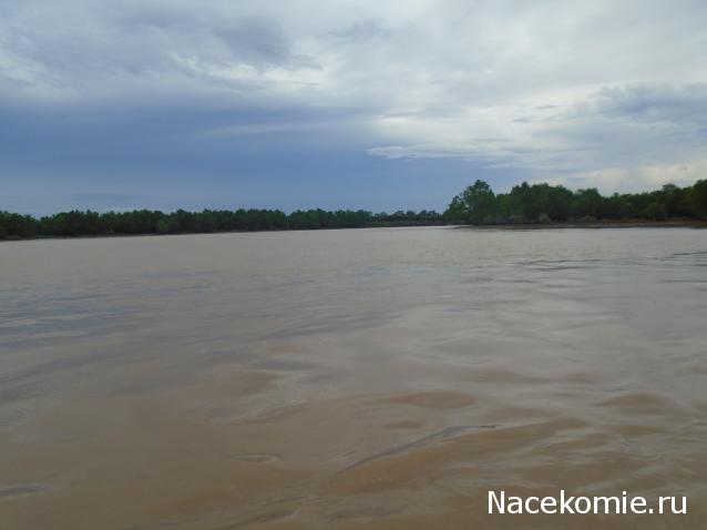 Nata