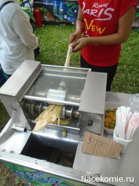 Nata