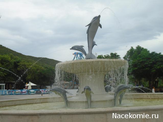 Nata