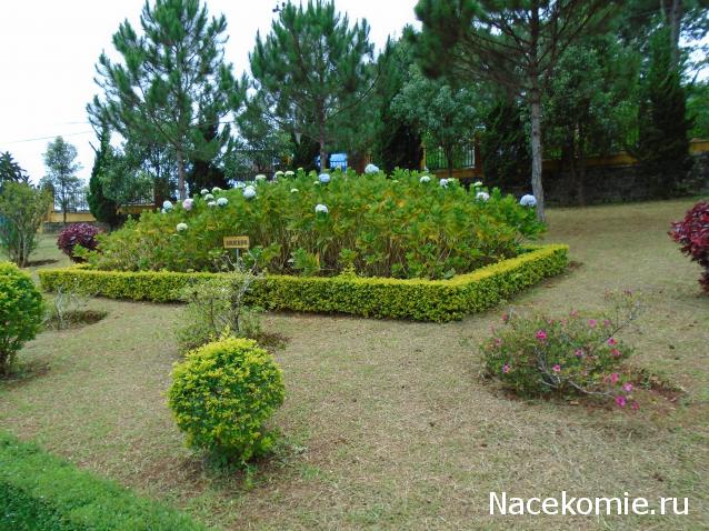 Nata