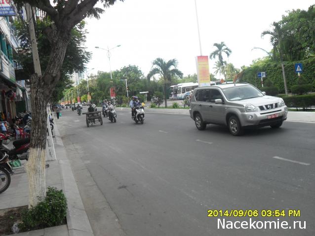 Nata