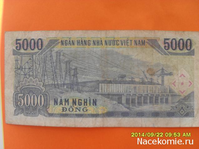 Коллекции пользователей. Нумизматика и бонистика