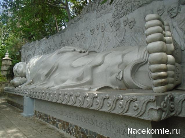 Nata