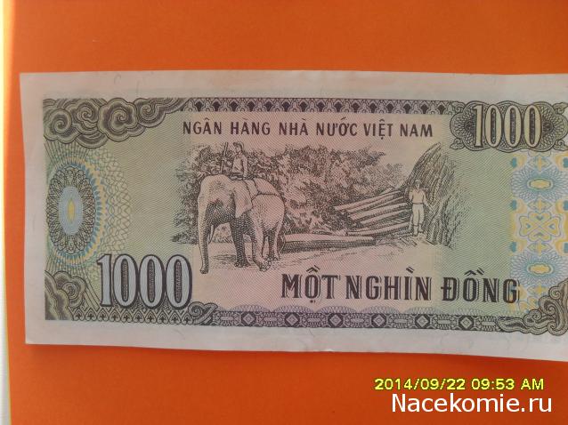 Коллекции пользователей. Нумизматика и бонистика