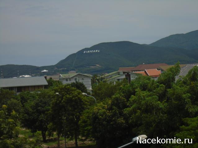 Nata