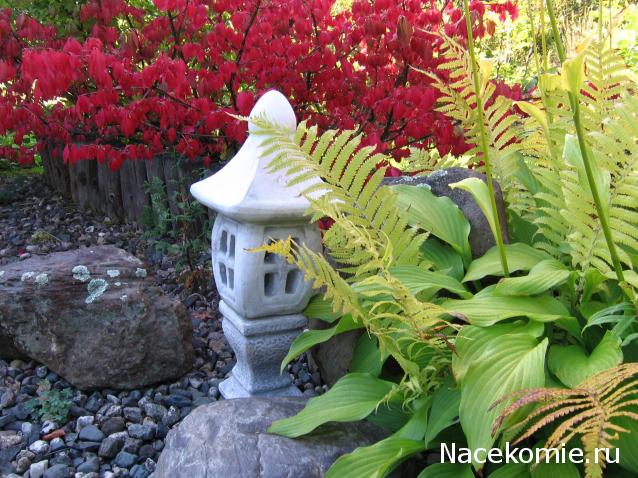 Galya: "My house is my castle"