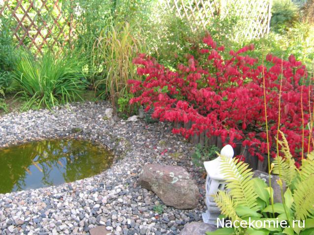 Galya: "My house is my castle"