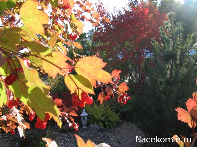 Galya: "My house is my castle"