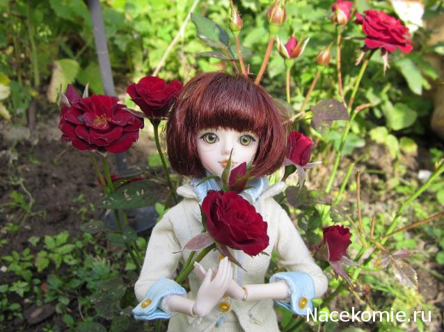 Куклы из наших коллекций №3. Авторские, антикварные, BJD куклы