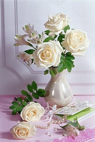 Наши Дни Рождения