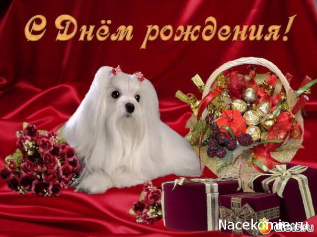 Дамы эпохи - Наши дни рождения