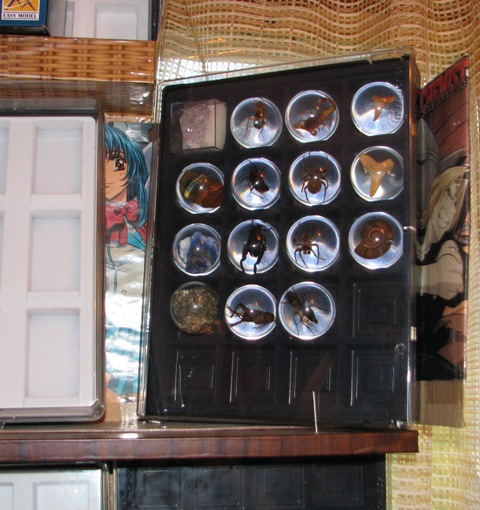 Чудеса Природы хранение журналов и коллекции