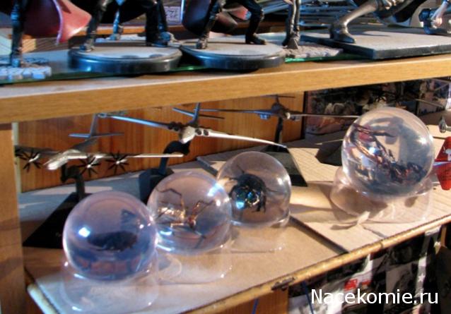 Чудеса Природы хранение журналов и коллекции