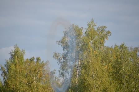 Бородино