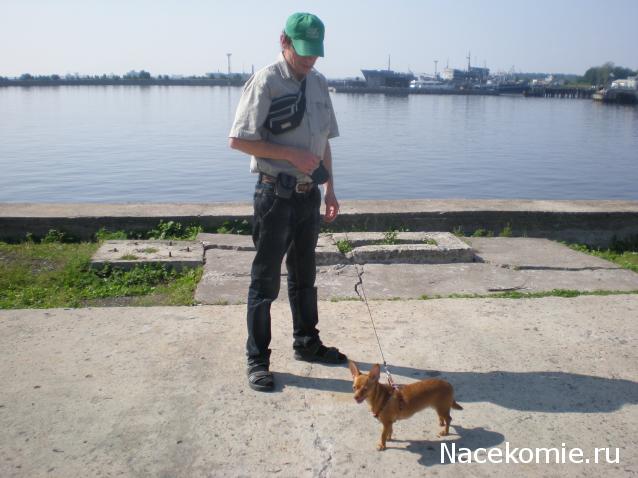 "12 Апостолов" - конкурсный баркас от petrovich