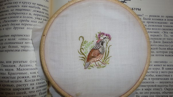 milena23 - Мечта моего детства.