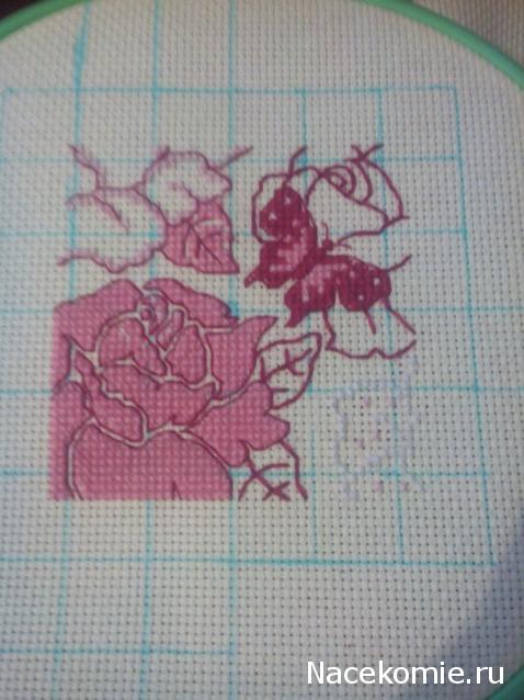 Round Robin №5 (российский)