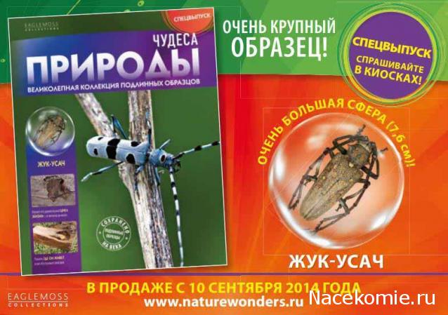 Чудеса Природы - График Выхода и обсуждение