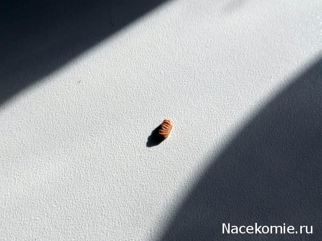 Корабль 12 Апостолов - фотоотчет konstantinfom