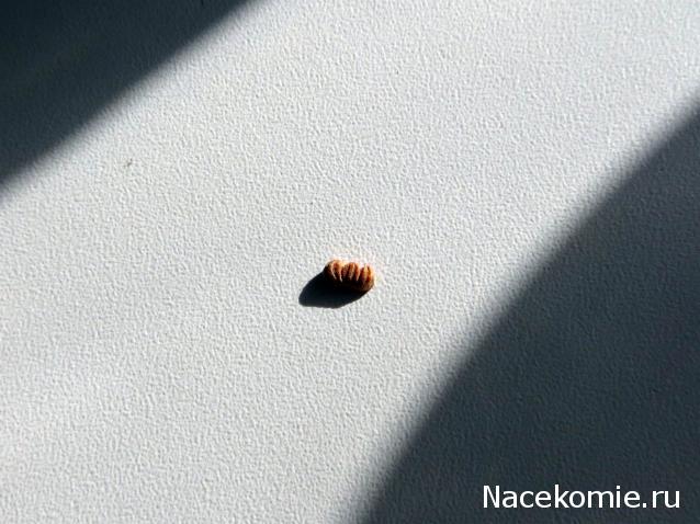 Корабль 12 Апостолов - фотоотчет konstantinfom