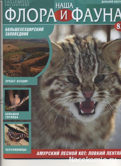 Наша Флора и Фауна - журнал (Eaglemoss)