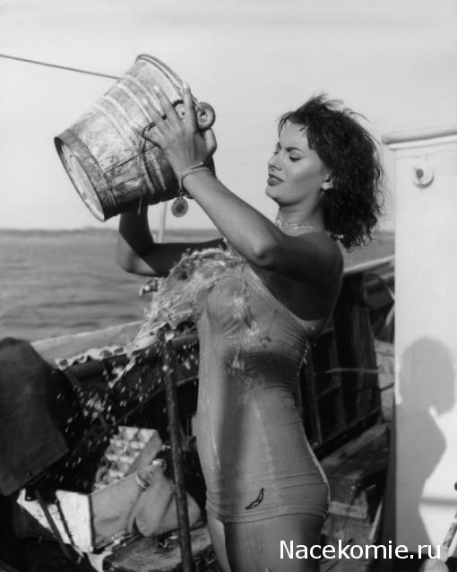 Наполеоновские Войны - Новая флудилка