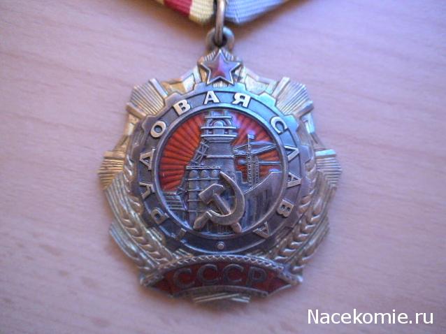 №19 Орден Трудовой Славы